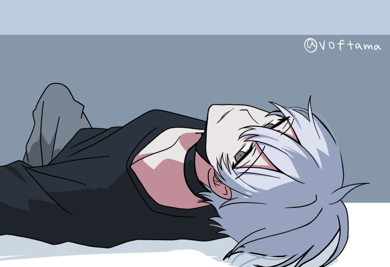 寝転がり白　🐱